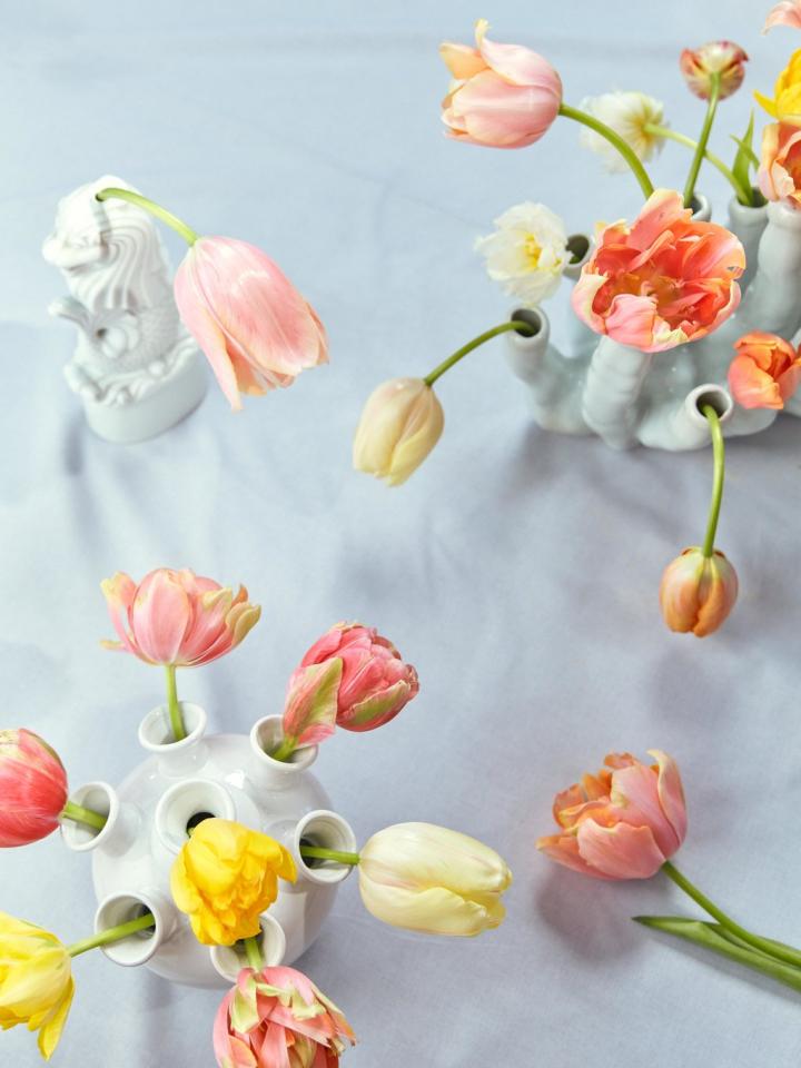 Rijden Positief Circulaire De revival van de tulpenvaas | Mooi wat bloemen doen