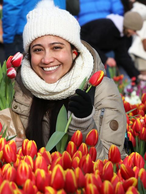 pluktuin nationale tulpendag